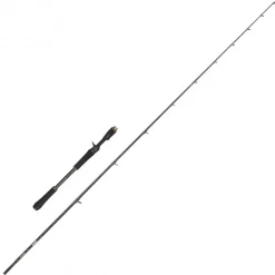 Canne Casting Abu Garcia Beast X Jerkbait