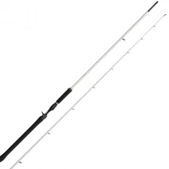 Canne Casting Abu Garcia Beast X 2 Trolling