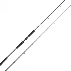 Canne Casting Abu Garcia Beast X 2