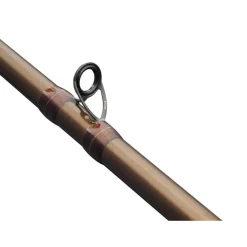 Canne Casting Abu Garcia Beast Pro 2