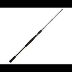 Canne Casting BFT Raptor 6’6 Jerkbait