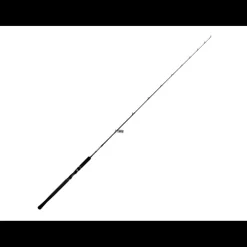 Canne Casting Biwaa The Rampage 711XXH