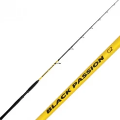 Canne Casting Black Cat Black Passion G2 Vertical