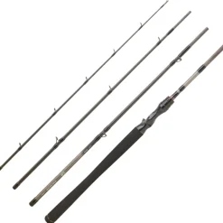 Canne Casting Daiwa Exceler Mobile 2025