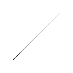 Canne Casting Daiwa Steez AGS 2022