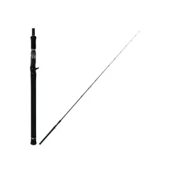 Canne Casting Deps Huge Custom 81 RF