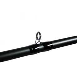Canne Casting Dobyns Champion 635 CB