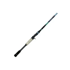 Canne Casting Dobyns Fury 703 C
