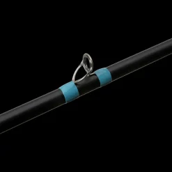 Canne Casting G. Loomis NRX+ Jig & Worm