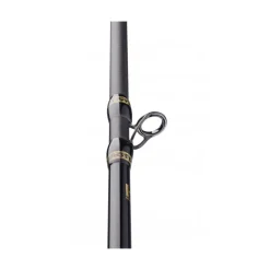 Canne Casting Hearty Rise Top Gun Prestige