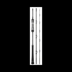 Canne Casting Hearty Rise Skywalker Slow Jigging
