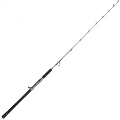 Canne Casting Penn Battalion Solid Jigging Spiral Guide