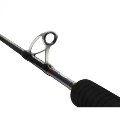 Canne Casting Penn Battalion Solid Jigging Spiral Guide