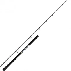 Canne Casting Penn Battalion Solid Boat
