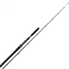 Canne Casting Shimano Beastmaster AX Catfish Vertical