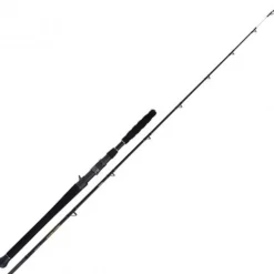 Canne Casting Shimano Beastmaster AX Catfish Vertical