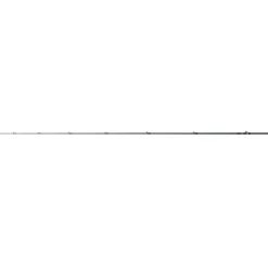 Canne Casting Shimano Dialuna Inshore 2023