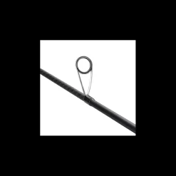 Canne Casting Shimano Dialuna Inshore 2023