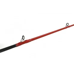 Canne Casting Tenryu Injection BC 73 M