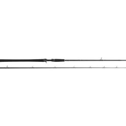 Canne Casting Westin W2 Powercast T
