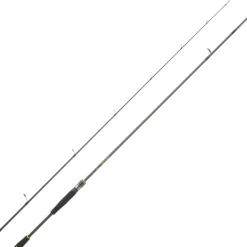 Canne Daiwa Legalis Squid 2025