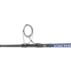 Canne Mer Daiwa Saltiga Jigging 24