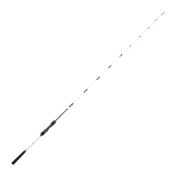 Canne Mer Daiwa Saltist Offshore