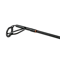 Canne Silure Shimano Beastmaster Catfish Static