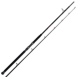 Canne Silure Shimano Beastmaster Catfish Vertical Spinning