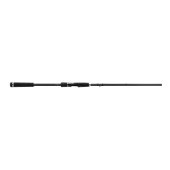 Canne Spinning 13 Fishing Fate Black
