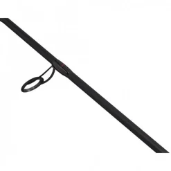 Canne Spinning Berkley Zilla Pike