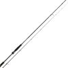 Canne Spinning Daiwa BG RF