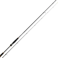 Canne Spinning Daiwa BG RF