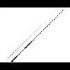 Canne Spinning Daiwa BG Tenya Game