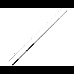 Canne Spinning Daiwa BG Tenya Game