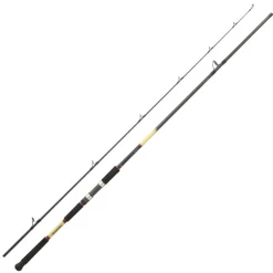 Canne Spinning Daiwa Grandwave Shore Jig