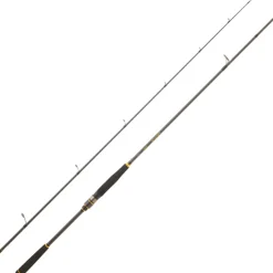 Canne Spinning Daiwa Legalis Seabass 2025