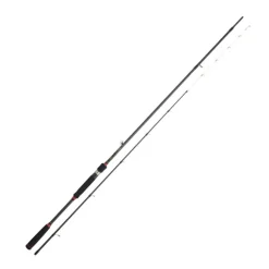 Canne Spinning Daiwa Legalis Tenya BF