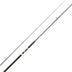 Canne Spinning Daiwa Legalis Shore Jigging 2025