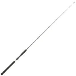 Canne Spinning Daiwa Legalis Jigging 2023