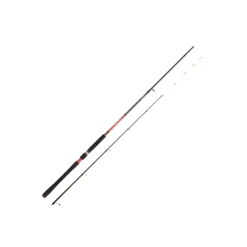 Canne Spinning Daiwa Powermesh Tenya AF