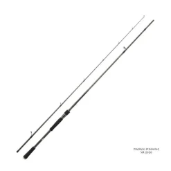 Canne Spinning Daiwa Prorex XR 2020