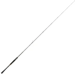 Canne Spinning Daiwa Prorex XR Monobrin 2023