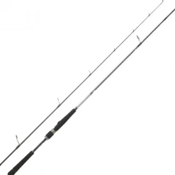 Canne Spinning Daiwa Saltist Seabass 2024