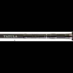 Canne Spinning Daiwa Tatula Monobrin 2023