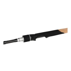 Canne Spinning Fox Rage TR DS Master