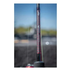 Canne Spinning Fox Rage Warrior Dropshot 2025