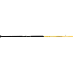 Canne Spinning Illex Element Rider S 220 XXH Thunder Sword