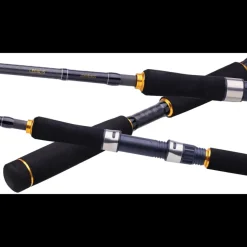 Canne Spinning Mer Daiwa Legalis Seabass AF 2022
