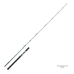 Canne Spinning Mer Daiwa Grandwave Off Shore